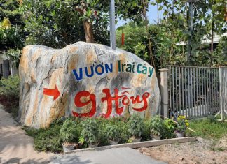 Tham quan vườn trái cây Chín Hồng – địa điểm du lịch nổi tiếng Cần Thơ Tham quan vườn trái cây Chín Hồng - địa điểm du lịch nổi tiếng Cần Thơ